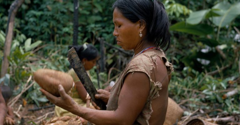 Во-амазонско-племе-живеат-3000-жени-и-само-7-мажи.jpg