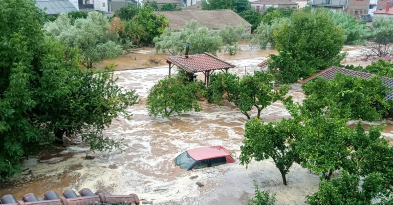 Две-жени-најдени-мртви-во-нивните-домови-бројот-на-жртви.jpg