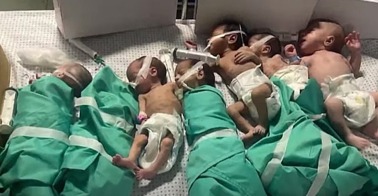 Предвремено-родените-бебиња-префрлени-на-југот-на-Газа-ќе-бидат.jpg