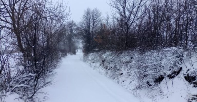 Снегот-пристигна-во-Србија-патните-правци-прв-приоритет-на-службите.jpg