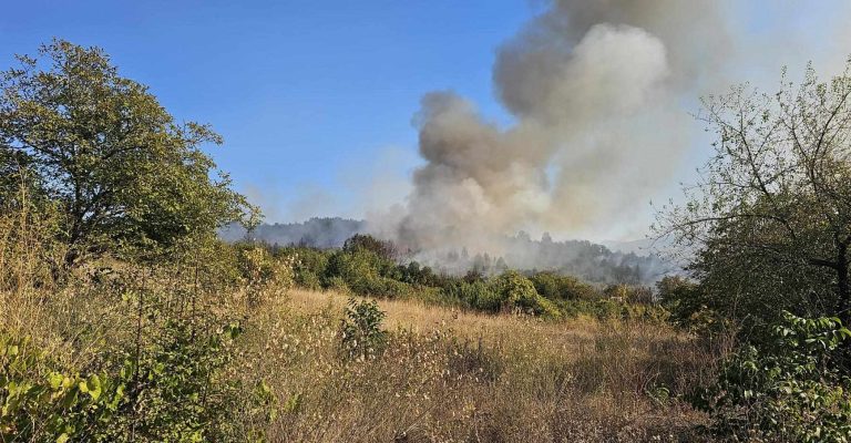 ЦУК-Во-последното-деноноќие-пожари-во-Скопскиот-регион-и-општина.jpg